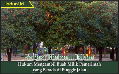 Hukum Mengambil Buah Milik Pemerintah yang Berada di Pinggir Jalan