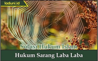 Hukum Sarang Laba Laba
