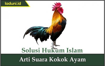 Arti Suara Kokok Ayam