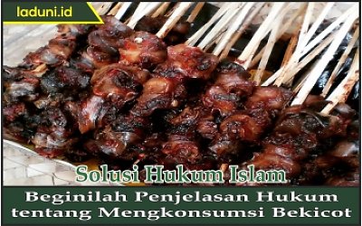Beginilah Penjelasan Hukum tentang Mengkonsumsi Bekicot