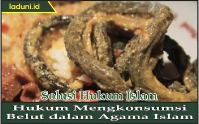 Hukum Mengkonsumsi Belut dalam Agama Islam