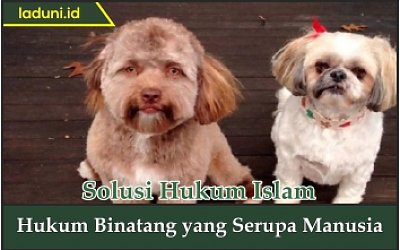 Hukum Binatang yang Serupa Manusia