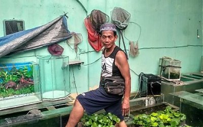 Hanya dari Jualan Aquarium, Pria ini Hasilkan 15 Juta per Bulan