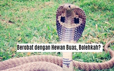 Ustadz Ma'ruf Khozin: Berobat Dengan Hewan Buas
