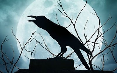 Ustadz Munari Abdillah: Bughats (Burung Gagak)