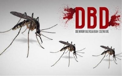 Tips Perang Nyamuk, Harus Dicoba!