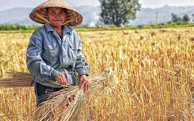 Menanti ‘Gebrakan’ Undang-Undang Sistem Budidaya Pertanian yang Baru