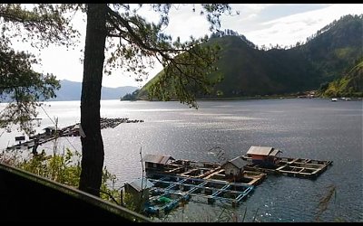 Inggris Dikejutkan Temuan Tulang Manusia pada Kaus Kaki Baru