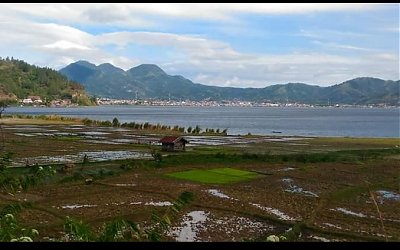Danau Laut Tawar #5: Rumah Satwa Langka dan Sang