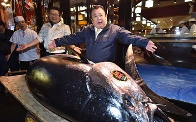 Termahal Sedunia, Seekor Ikan Tuna Terjual Rp 44,9 Miliar