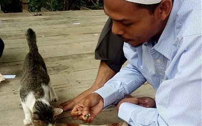 Mengharukan Kisah Sang Penyayang Kucing