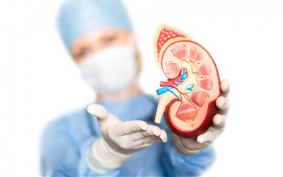 Menjaga Ginjal Tetap Sehat Tanpa Minum Obat