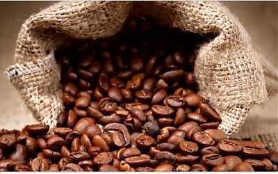Berkeliling Indonesia Cari Biji Kopi Terbaik