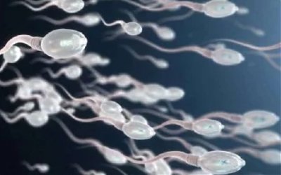 Awas, Sinyal WiFi Sebabkan Sperma Mati