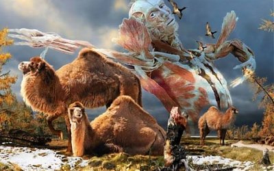 Diperkirakan Sekitar Sejuta Spesies Hewan dan Tumbuhan Terancam Kepunahan