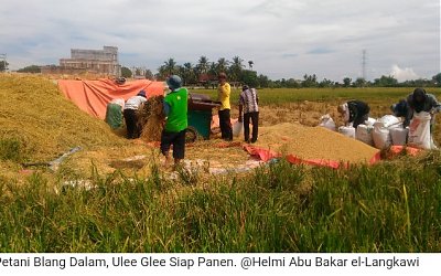 Bertani Pekerjaan Paling Mulia dalam Islam, Zaman Now Kian Punah?