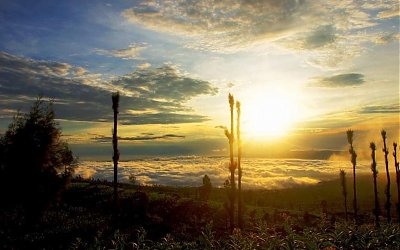 Ingin Liburan? Coba Kunjungi Dataran Tinggi Posong di Temanggung, Alamnya Wow...
