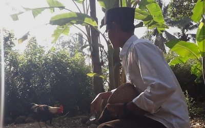 Menyapa Free Range Chicken, Menyapa Tanda Kebesaran Tuhan