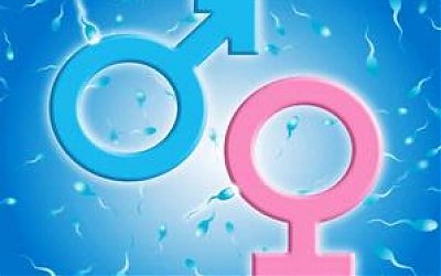 Seputar Ciuman dan Oral Sex Menurut Sebagian Pakar Fiqih