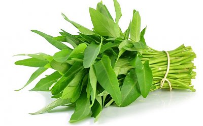 Apakah Benar Mengkomsumsi Kangkung Bisa membuat Seseorang Mengantuk ?