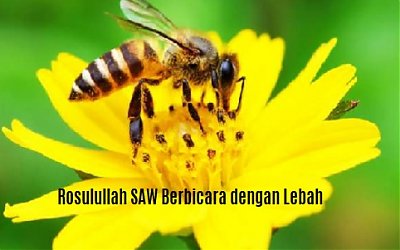 Rasulullah SAW Berbicara dengan Seekor Lebah