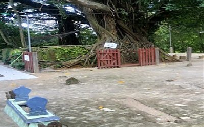 Wisata Religi dan Bertawassul di Makam Ki Ageng Panohan Rembang
