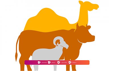 Larangan Saat Berqurban Penting untuk Diketahui