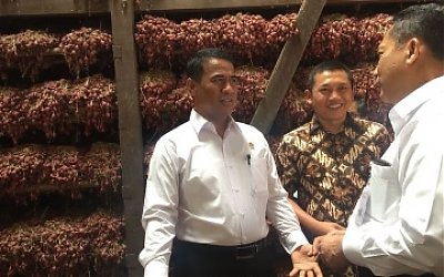 2014 Indonesia sebagi Pengimport, 2018 Indonesia Targetkan Eksport 15 Ribu Ton Bawang Merah