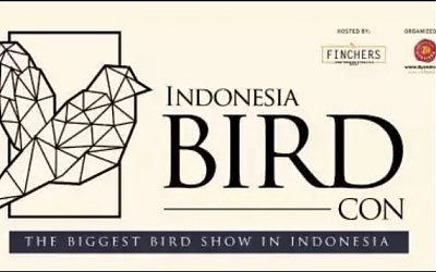 Indonesia Bird Con 2019 : Pameran lndustri Burung Pertama Kali Digelar di Indonesia