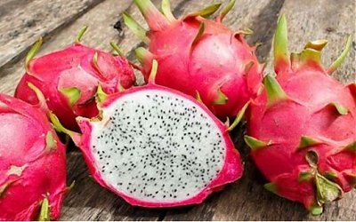 Manfaat dan Pentingnya Buah Naga untuk Ibu Hamil