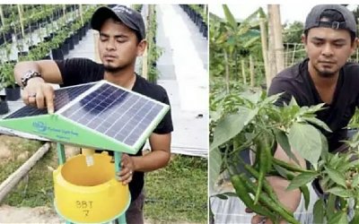 Ogah Cari Kerja, Sarjana Ini Pilih Jadi Petani Cabai! Hasilnya Wow Banget Netz