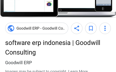 Alasan ERP Dipasang di Merdeka Barat