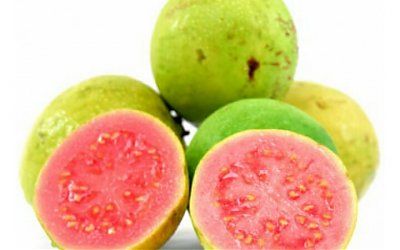 Jambu Biji Kaya Vitamin C, Intip Khasiat Lainnya