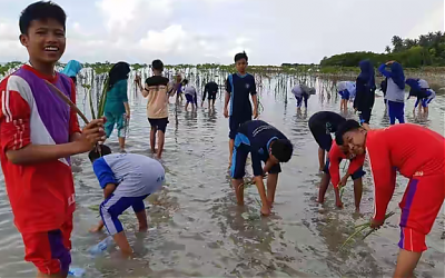 OSIS MTs Al-Hasan Tanam Pohon Mangrove