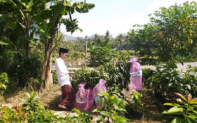 Setiap Nafas adalah Umur Baru bagi Manusia, Yuk Optimalkan