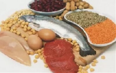 Lima Sumber Protein Terbaik untuk Keberhasilan Diet