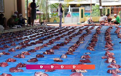Tata Cara Pembagian Daging Hewan Qurban