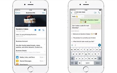WhatsApp Business Resmi Hadir untuk iOS di Indonesia