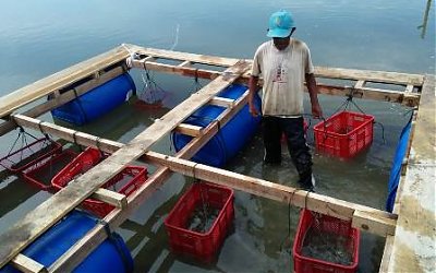 Pemko Kenalkan Metode Budidaya Tiram Sistem Terapung