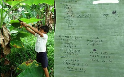 Kisah Sedih Erlande Menulis di Daun Pisang karena Tak Mampu Beli Buku