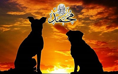 Nabi Tidak Menyakiti Anjing