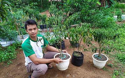 Cabai Mahal, LPPNU Cianjur Ajak Masyarakat Tanam Sendiri