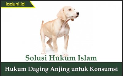 Hukum Daging Anjing untuk Konsumsi