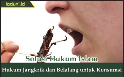 Hukum Jangkrik dan Belalang untuk Konsumsi