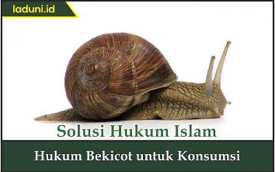 Hukum Bekicot untuk Konsumsi