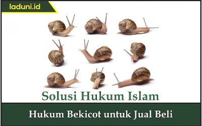Hukum Bekicot untuk Jual Beli