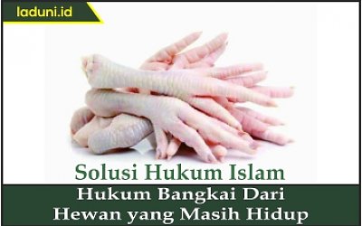 Hukum Bangkai dari Hewan yang Masih Hidup