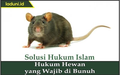 Hukum Hewan yang Wajib Dibunuh