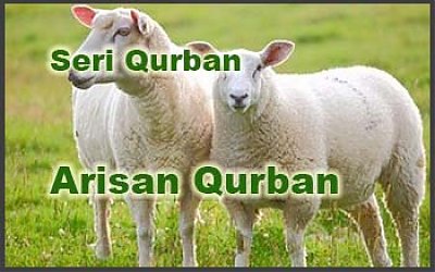 Penjelasan dari Hukum Arisan Qurban