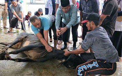 Wali Kota Shalat Ied dan Berqurban di Masjid Babussalam Lampaseh Aceh